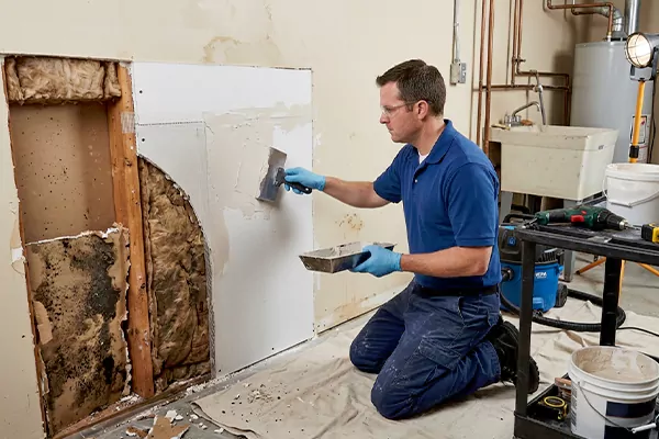Mold and Drywall Repair Puyallup