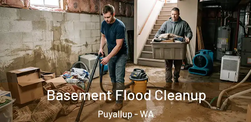  Basement Flood Cleanup Puyallup - WA