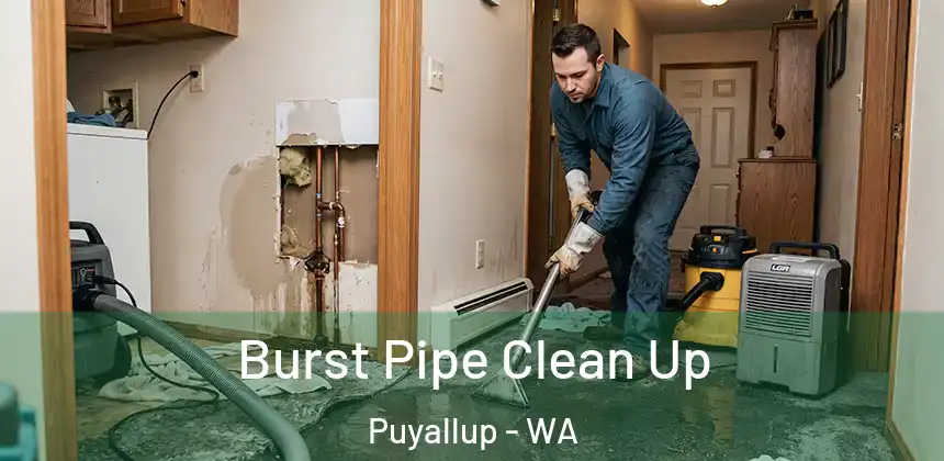 Burst Pipe Clean Up Puyallup - WA