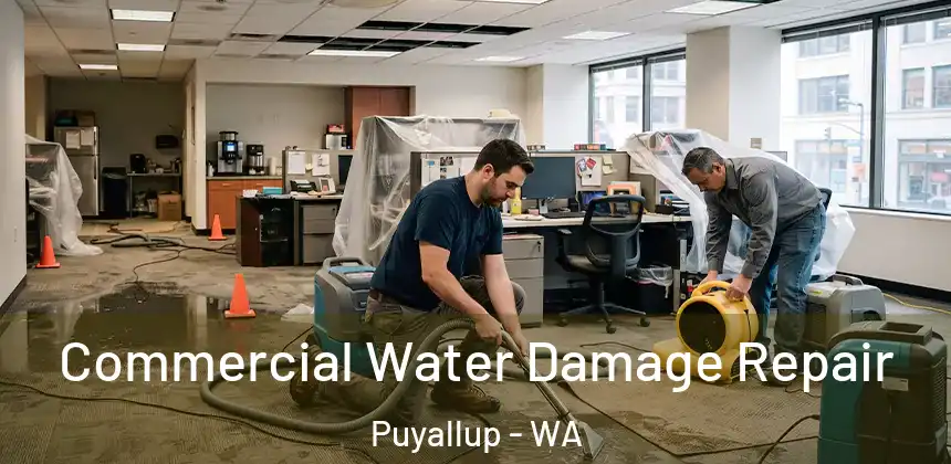Commercial Water Damage Repair Puyallup - WA