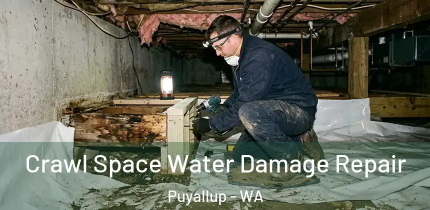 Crawl Space Water Damage Repair Puyallup - WA