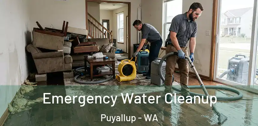 Emergency Water Cleanup Puyallup - WA