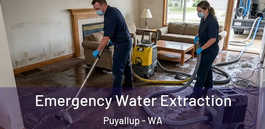  Emergency Water Extraction Puyallup - WA