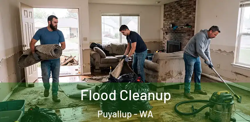 Flood Cleanup Puyallup - WA