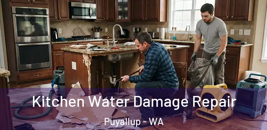  Kitchen Water Damage Repair Puyallup - WA