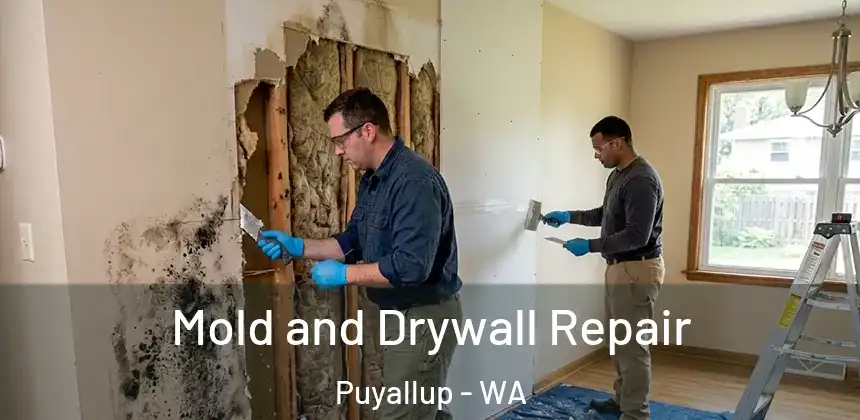  Mold and Drywall Repair Puyallup - WA