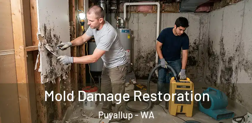 Mold Damage Restoration Puyallup - WA