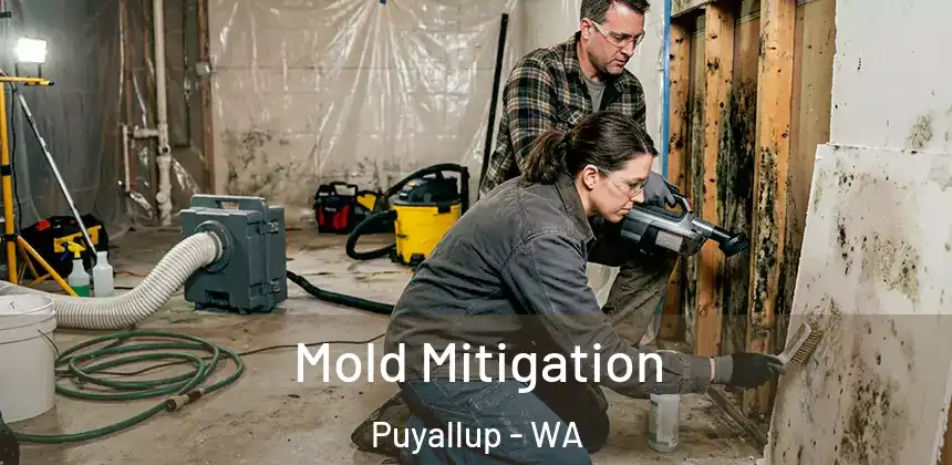 Mold Mitigation Puyallup - WA