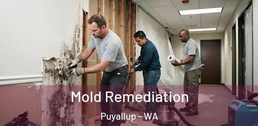  Mold Remediation Puyallup - WA