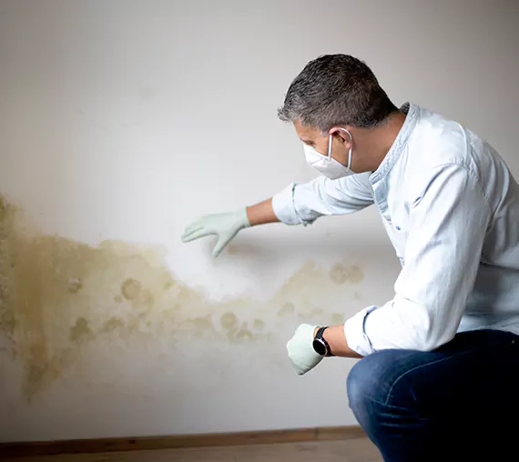 Mold Removal Service in Puyallup, WA