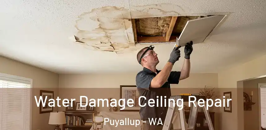 Water Damage Ceiling Repair Puyallup - WA