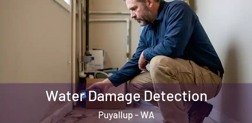  Water Damage Detection Puyallup - WA