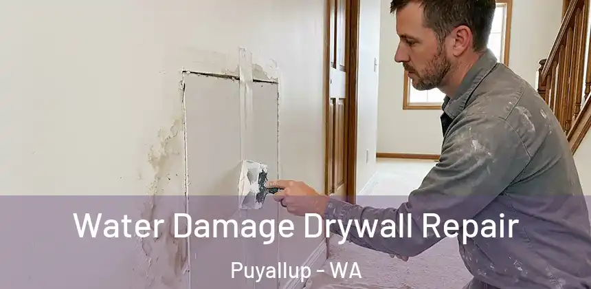  Water Damage Drywall Repair Puyallup - WA