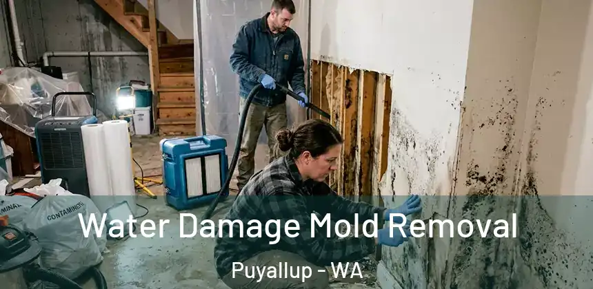 Water Damage Mold Removal Puyallup - WA