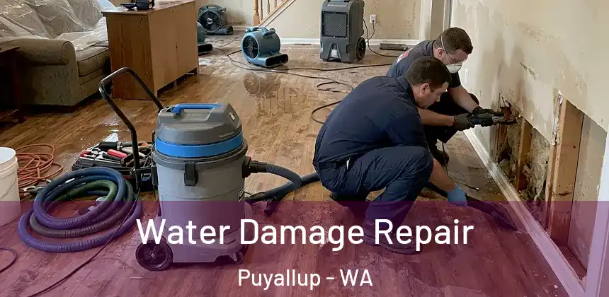  Water Damage Repair Puyallup - WA