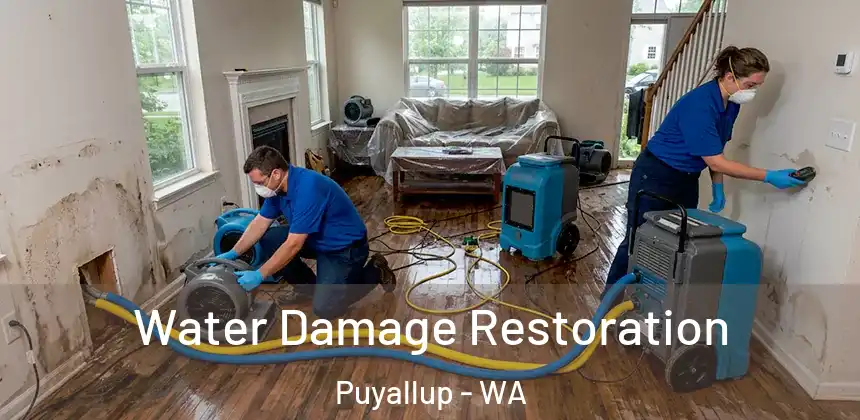 Water Damage Restoration Puyallup - WA