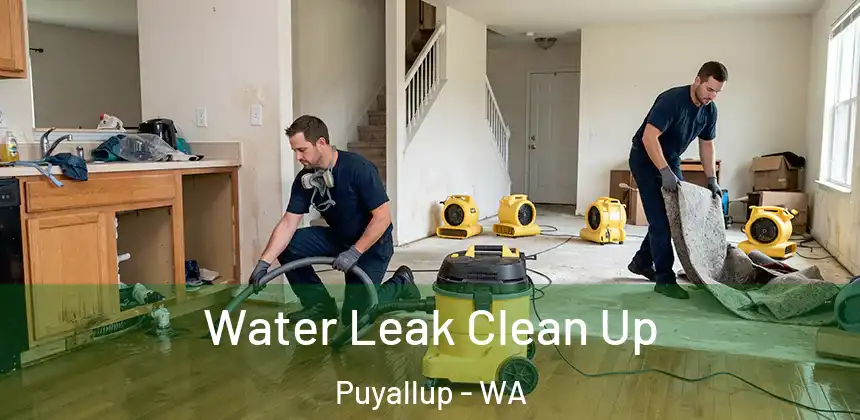 Water Leak Clean Up Puyallup - WA