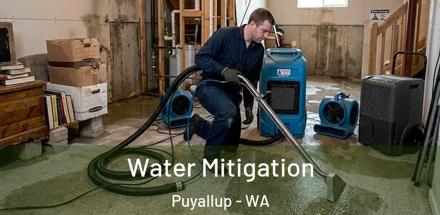  Water Mitigation Puyallup - WA