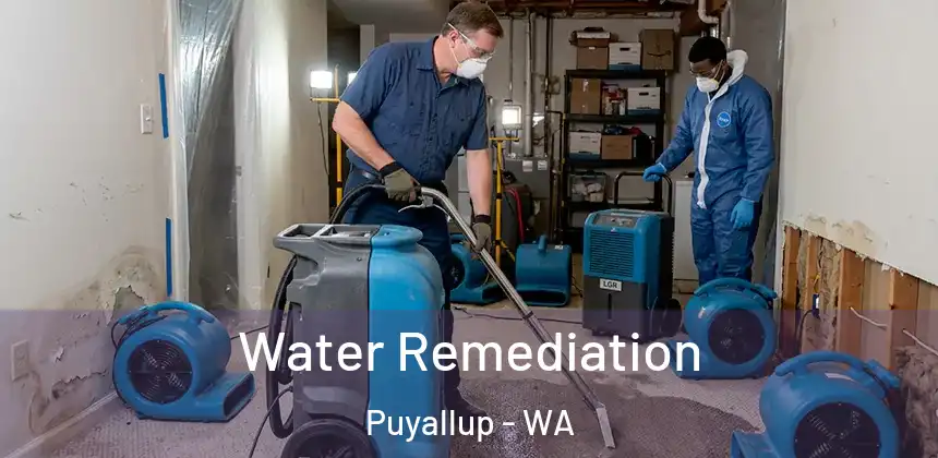 Water Remediation Puyallup - WA