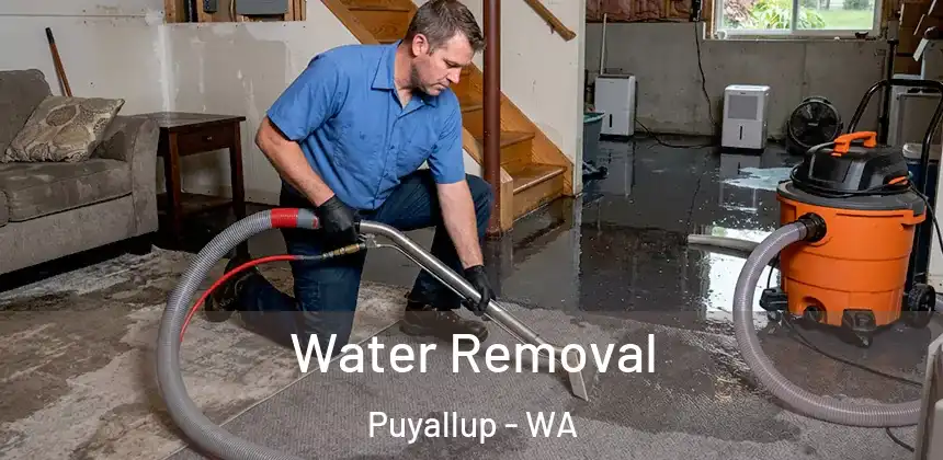  Water Removal Puyallup - WA
