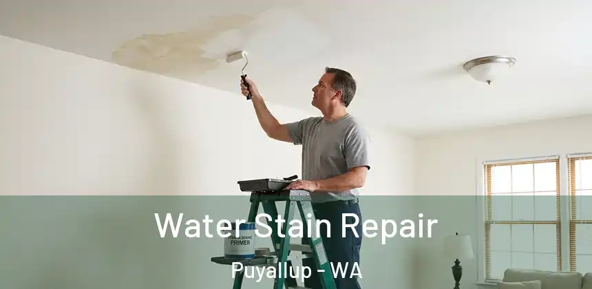  Water Stain Repair Puyallup - WA